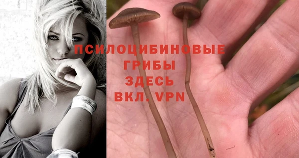 винт Новозыбков